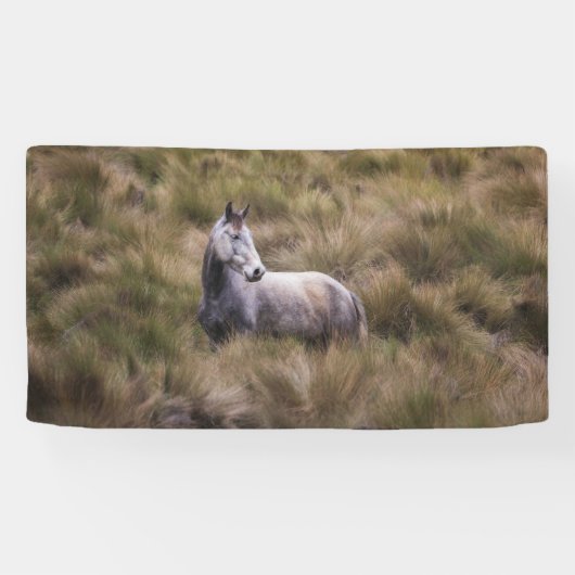 Banderoles Beau Cheval gris coloré (Horizontal)