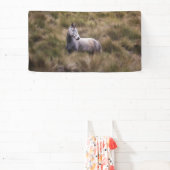 Banderoles Beau Cheval gris coloré (Insitu)