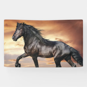 Banderoles Beau Cheval Noir