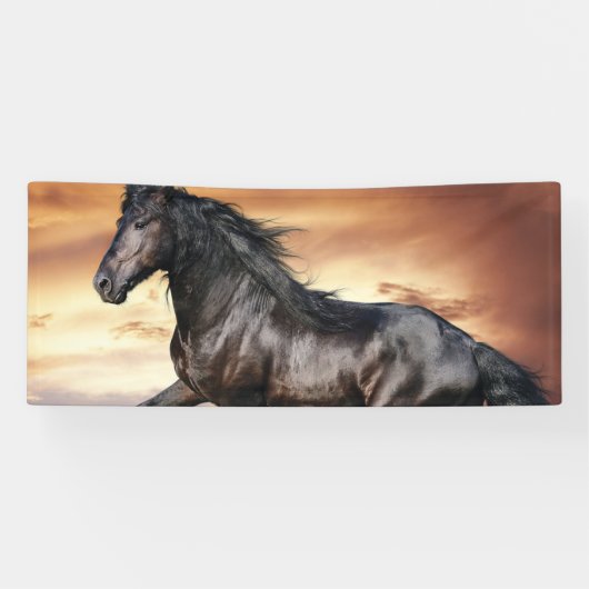 Banderoles Beau Cheval Noir (Horizontal)
