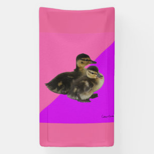 Banderoles Bébé Canards sur framboise rose et sorbet pourpre
