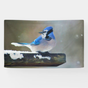 Banderoles Bleu Jay Painting - Art original pour les oiseaux