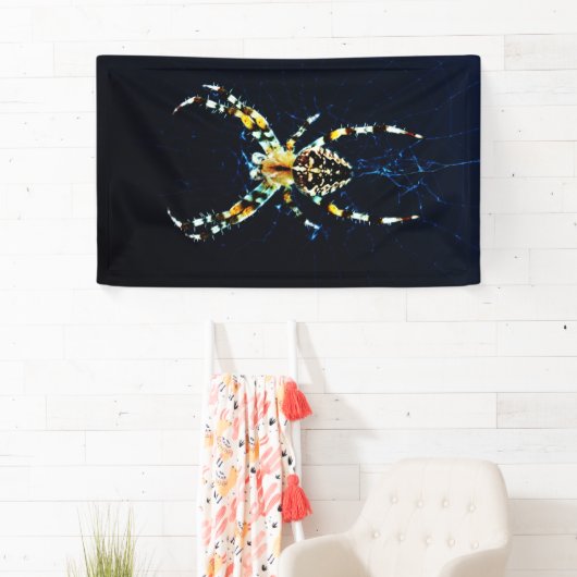 Banderoles Bnra européenne Garden Spider (En situation)