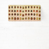 Banderoles Bug d'insectes coccinelle de coccinelle (Insitu)