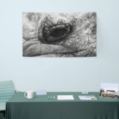 Banderoles BW Tortoise (Salon professionnel)