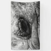 Banderoles BW Tortoise (Vertical)