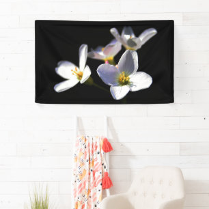 Banderoles Cardamine Pratensis Fleurs bnrcna