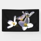 Banderoles Cardamine Pratensis Fleurs bnrcnm (Horizontal)