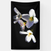 Banderoles Cardamine Pratensis Fleurs bnrcnm (Vertical)