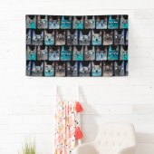 Banderoles Chats bleus (En situation)