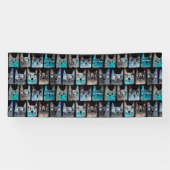 Banderoles Chats bleus (Horizontal)