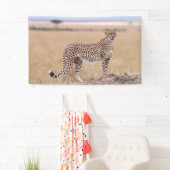 Banderoles Cheetah (En situation)