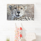 Banderoles Cheetah Portrait (En situation)