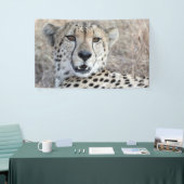 Banderoles Cheetah Portrait (Salon professionnel)