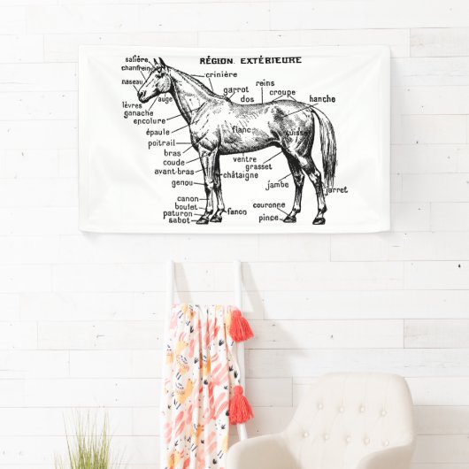 Banderoles Cheval (En situation)