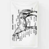 Banderoles Cheval (Vertical)