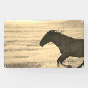 BANDEROLES CHEVAUX SAUVAGES D'UTAH BANNER AVEC GROMMET