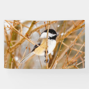 Banderoles Chickadee au plafond noir - Photo originale