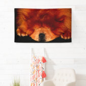 Banderoles Chow Chow Chow bnrcnm (En situation)