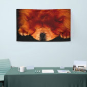 Banderoles Chow Chow Chow bnrcnm (Salon professionnel)