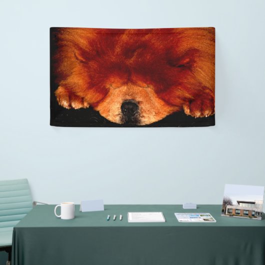 Banderoles Chow Chow Chow bnrcnm (Salon professionnel)