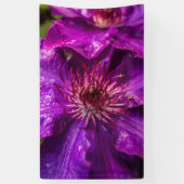 Banderoles Clematis Le Président (Vertical)