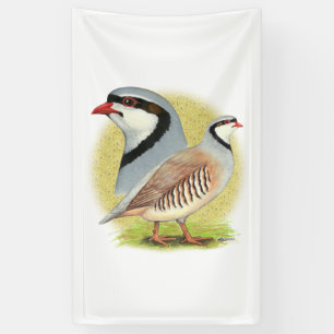 Banderoles Combo de perdrix de Chukar