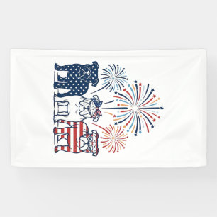 Banderoles Conception de vecteur vintage de feux d'artifice d