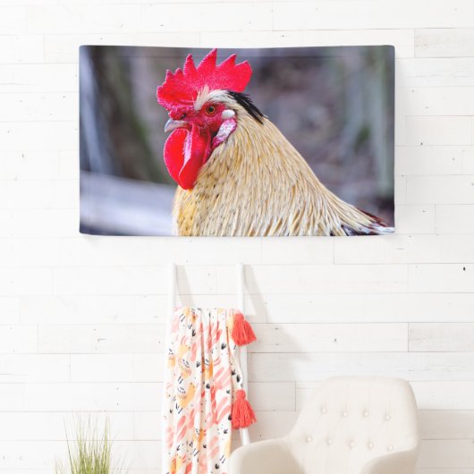 Banderoles Coq avec Cockscomb (En situation)