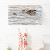 Banderoles Crocodile du Nil (En situation)