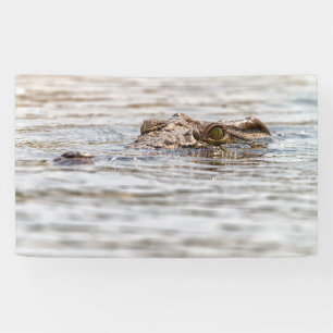 Banderoles Crocodile du Nil