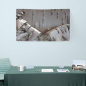 Banderoles Curly Birch Bark Tree Rustic (Salon professionnel)