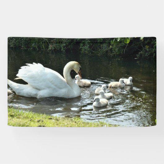 Banderoles Cygne blanc avec poules (Horizontal)