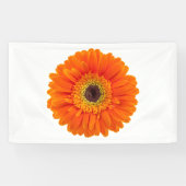 Banderoles Daisy (Horizontal)
