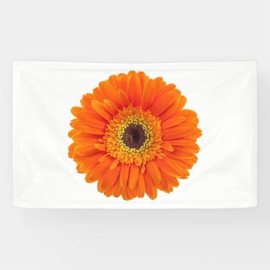 Banderoles Daisy (Horizontal)