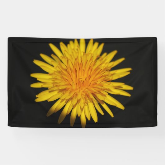 Banderoles Dandelion Flower bnrcna (Horizontal)