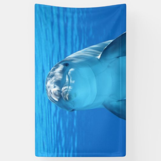 Banderoles Dauphin (Vertical)