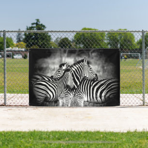 Banderoles Dazzle de Zebra