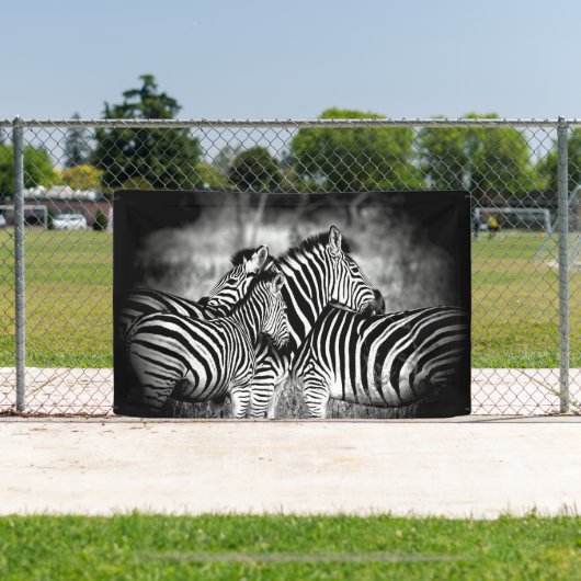 Banderoles Dazzle de Zebra (Insitu)
