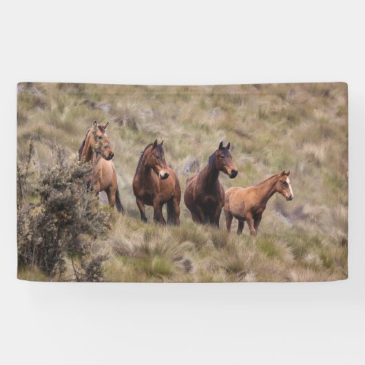 Banderoles de 91 cm x 152 cm (Horizontal)