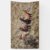 Banderoles de 91 cm x 152 cm (Vertical)