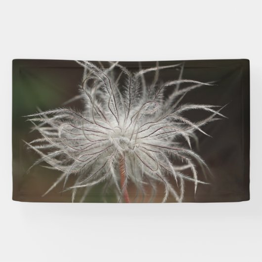 Banderoles de 91 cm x 152 cm (Horizontal)