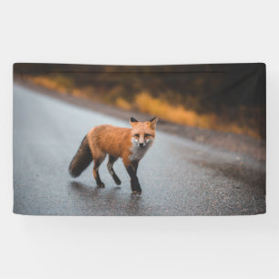 Banderoles de 91 cm x 152 cm