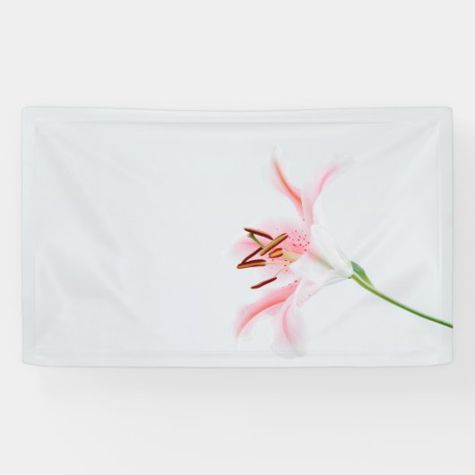 Banderoles de 91 cm x 152 cm (Horizontal)