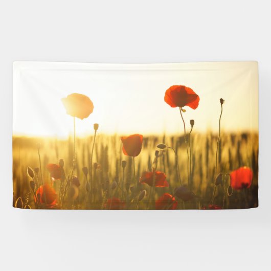 Banderoles de 91 cm x 152 cm (Horizontal)