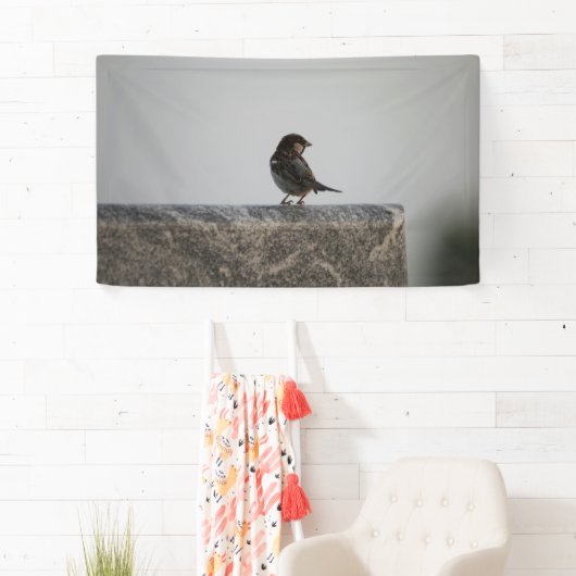 Banderoles de 91 cm x 152 cm (En situation)