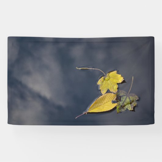 Banderoles de 91 cm x 152 cm (Horizontal)