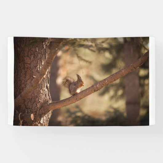 Banderoles de 91 cm x 152 cm (Horizontal)