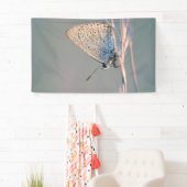 Banderoles de 91 cm x 152 cm (En situation)