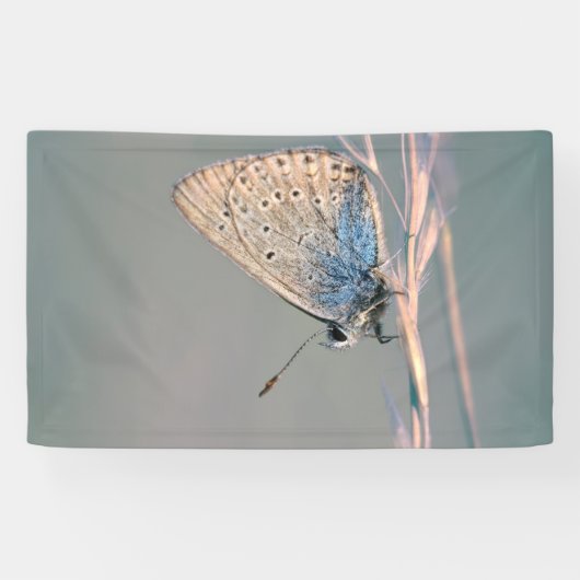 Banderoles de 91 cm x 152 cm (Horizontal)
